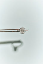 Nassau Oval Cut Lab-Grown Diamond Band Engagement Ring